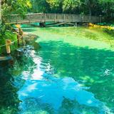 Wekiwa Springs