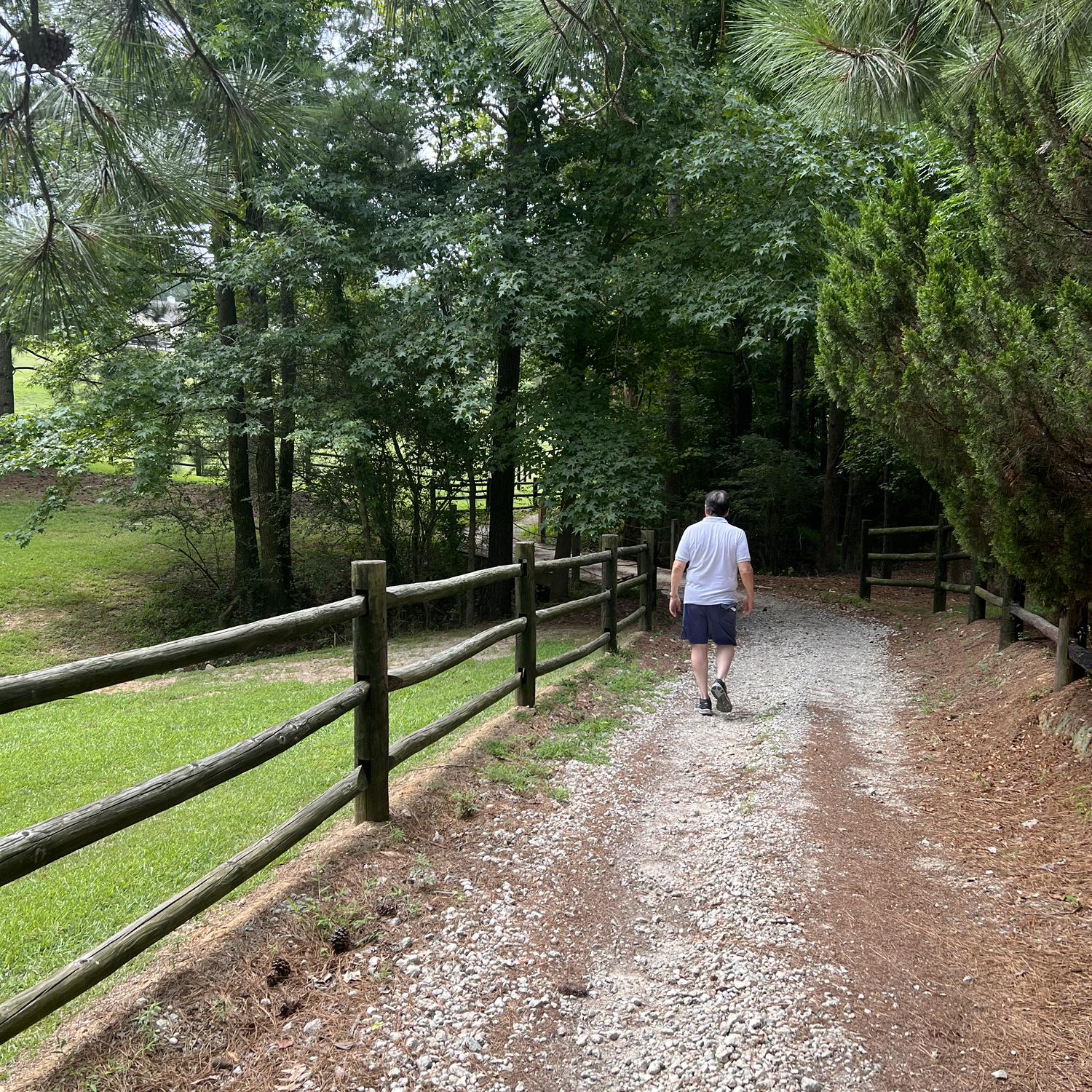 This is one of the trails near our home. A lovely walk that makes one really appreciate nature.