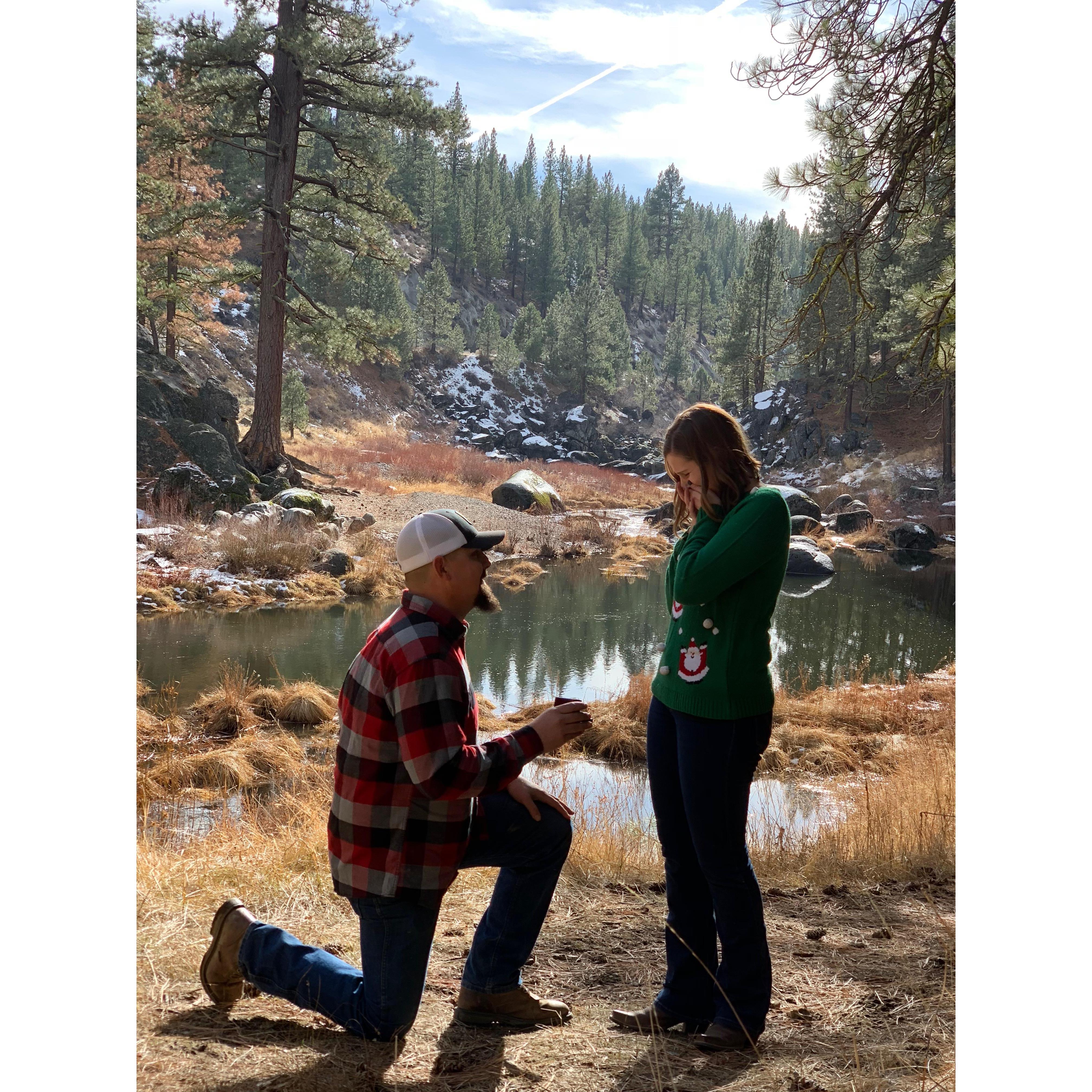 The proposal December 2018