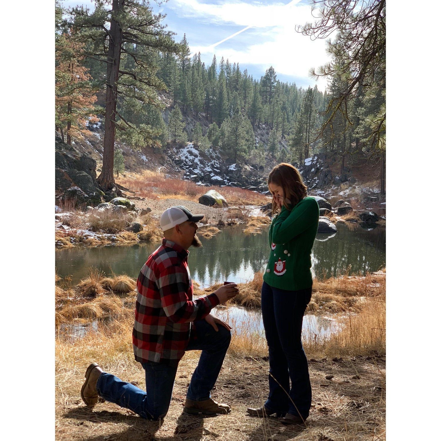 The proposal December 2018
