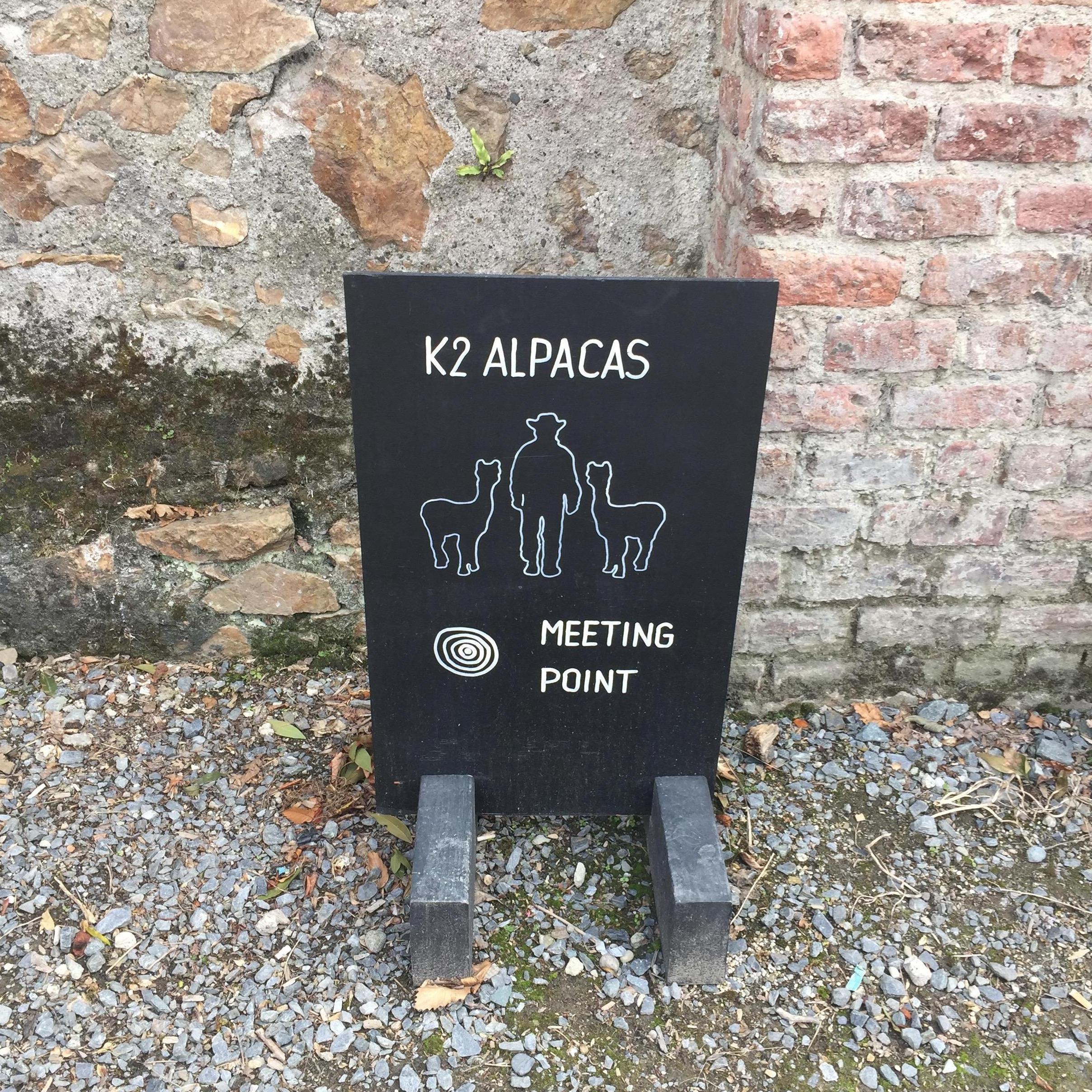 A little flavour of the fun to come at Killruddery!