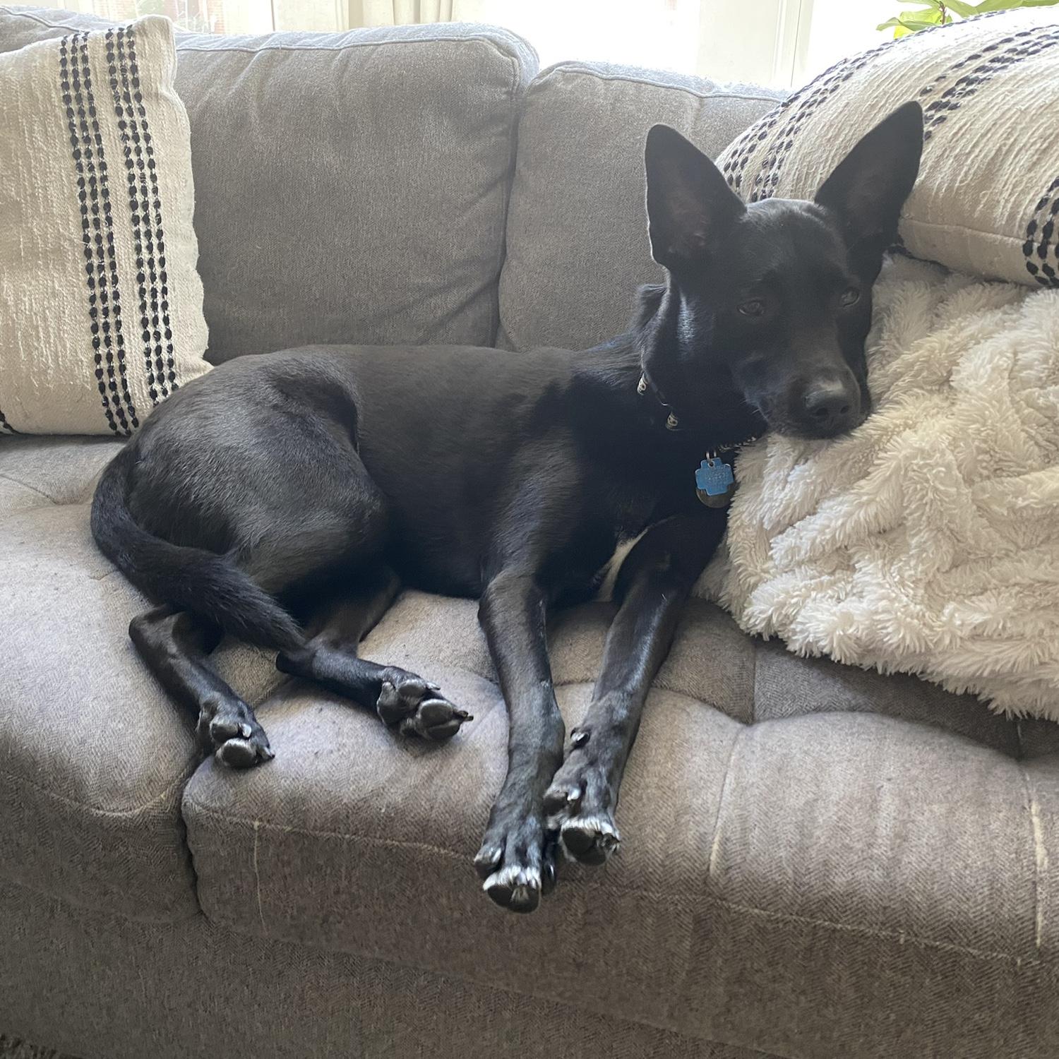 Pillow Princess (not like that, you sicko)