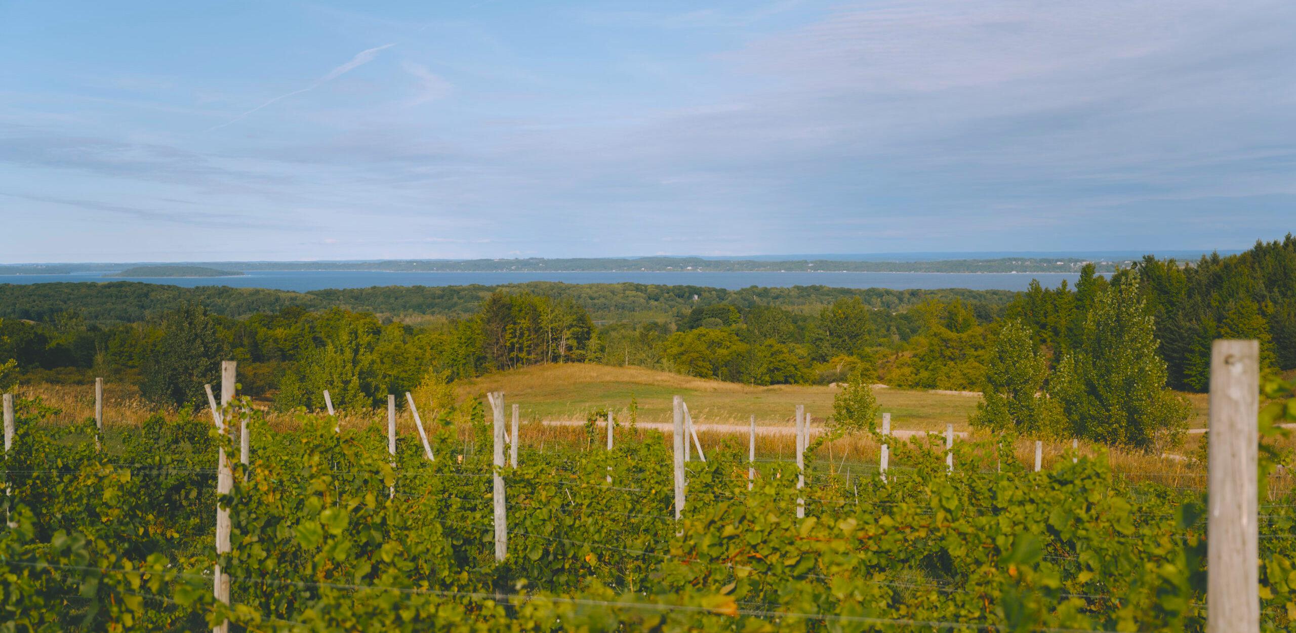 The Wedding Website of Kelly Doran and Tom Caron