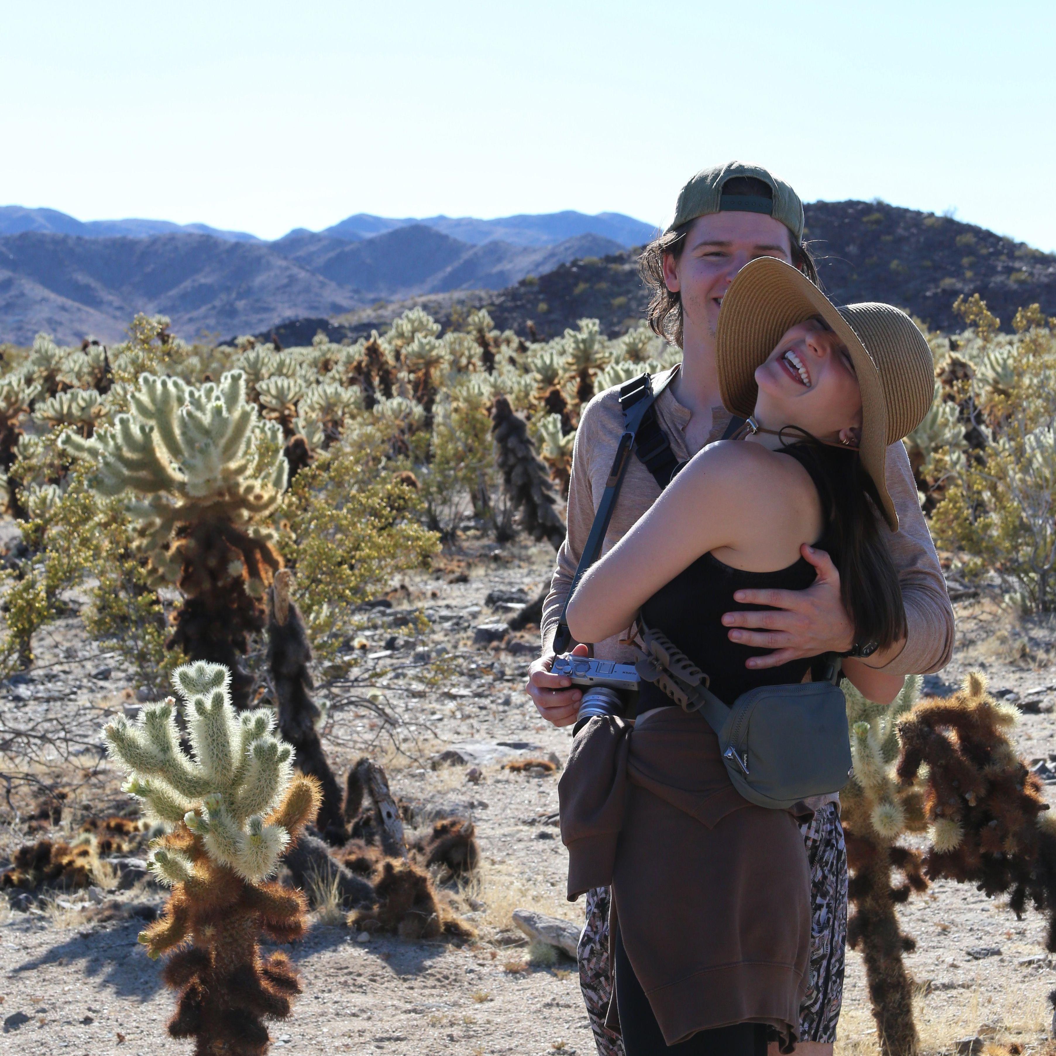 Joshua Tree 2025