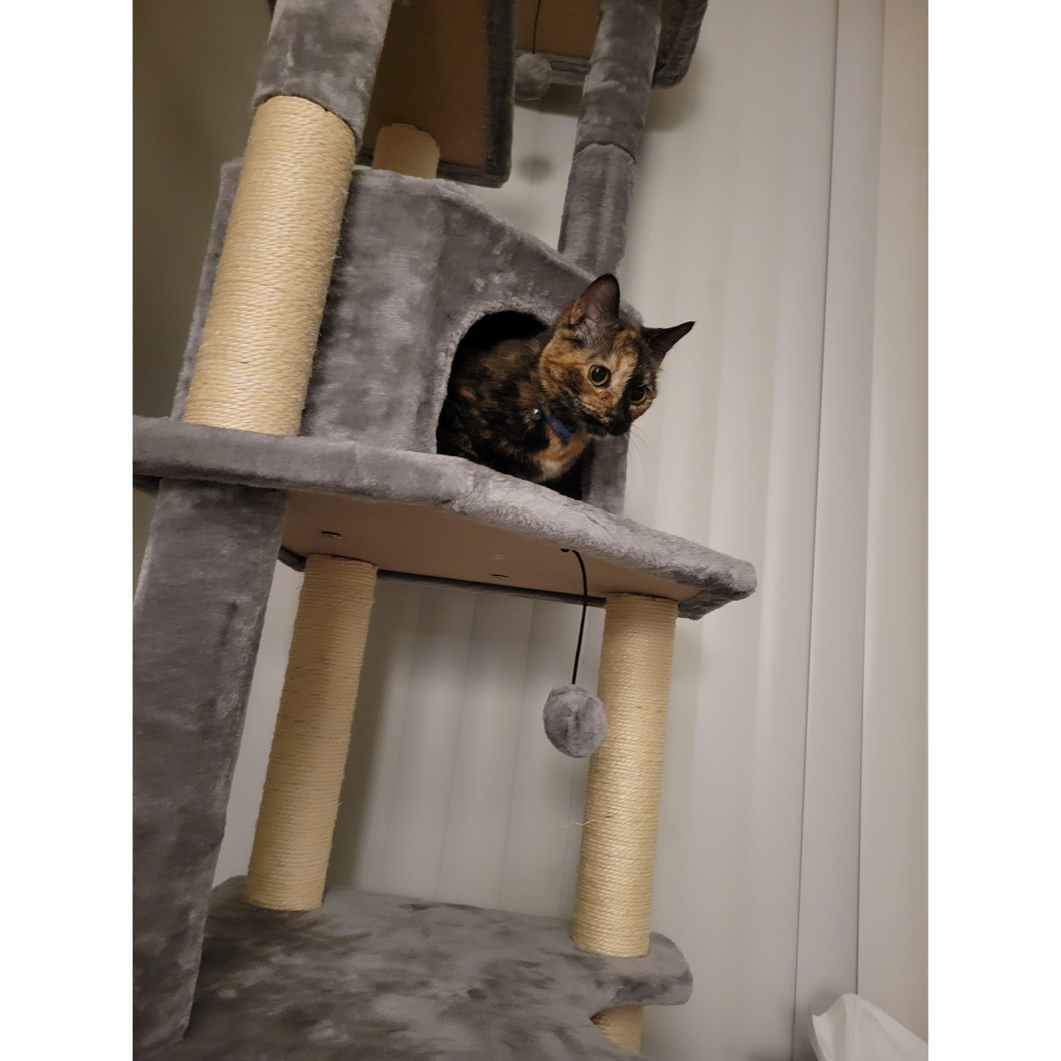 Hana's lil house