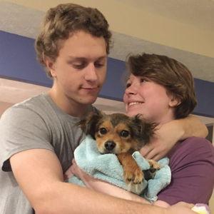 Our Pet Fund