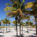 Key Biscayne Beach