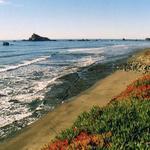 South Pebble Beach Drive
