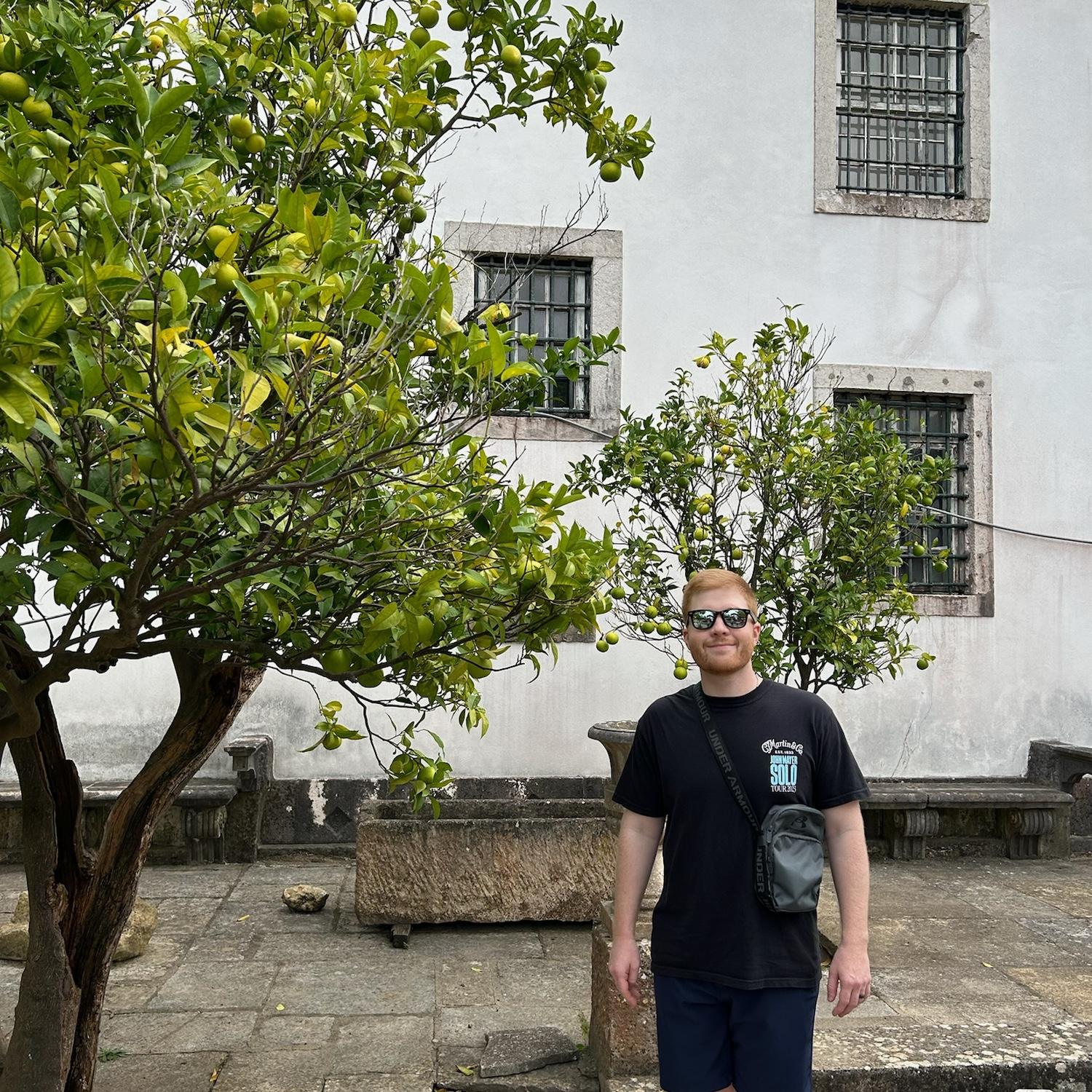 Our first citrus tree spotting