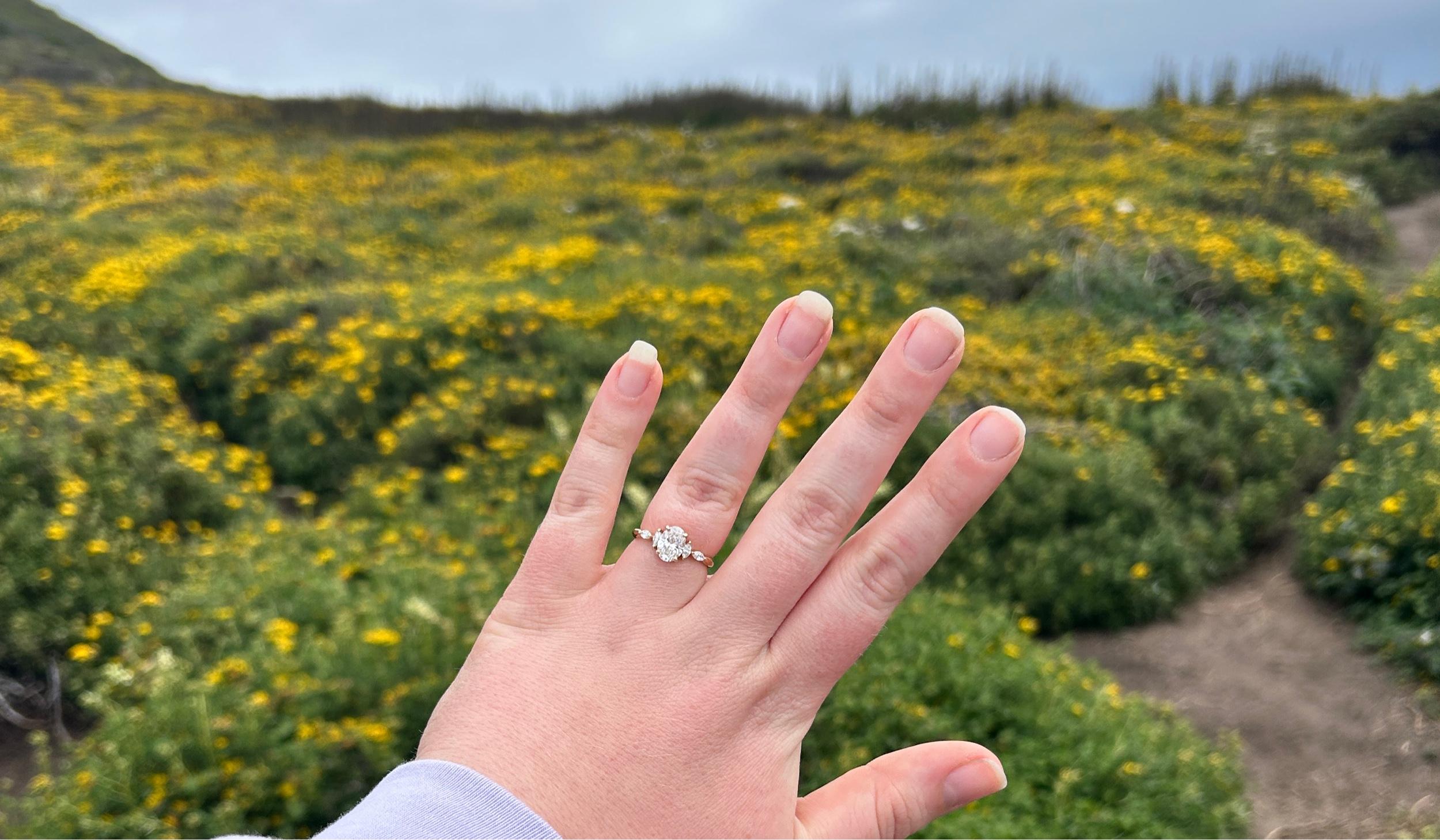 The Wedding Website of Danielle Zofkie and Stephen Wester