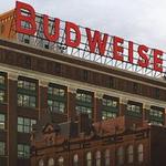 Budweiser Brewery Experience