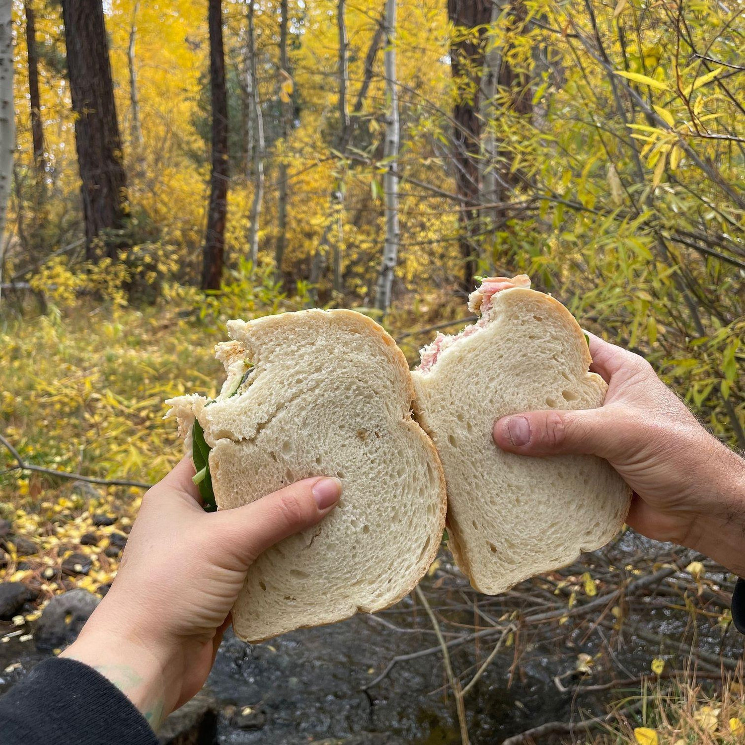 Picnic dates!