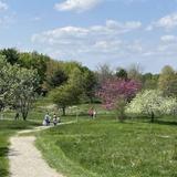 Viles Arboretum