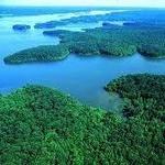 Land Between the Lakes