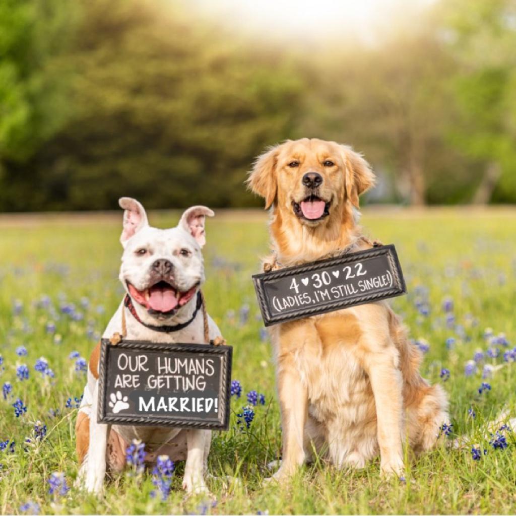 Engagement Photoshoot. Marble Falls, Texas. April, 2021