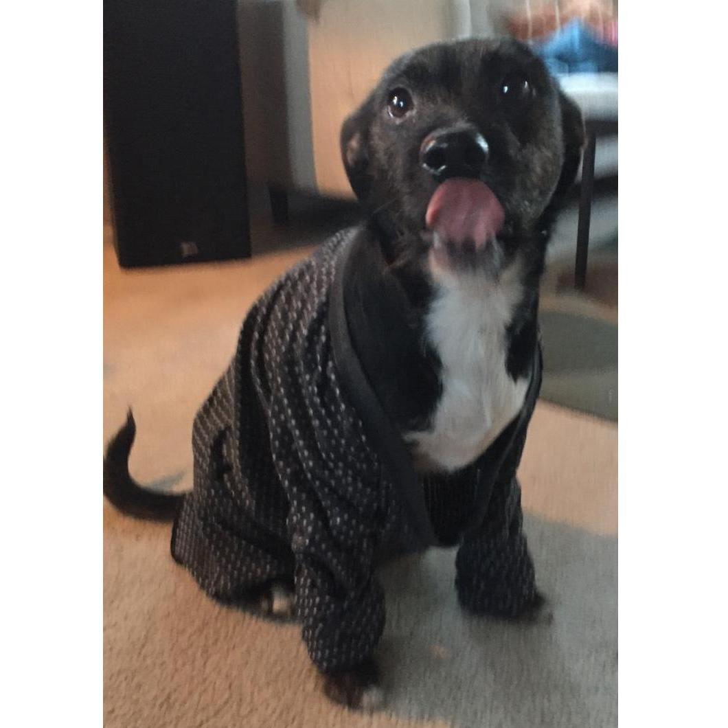 Our first son, Salvador Dalí (April 2017)