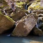 Smith Creek Preserve Trailhead