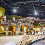 Cleveland Museum of Natural History