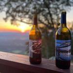 Georgia Winery