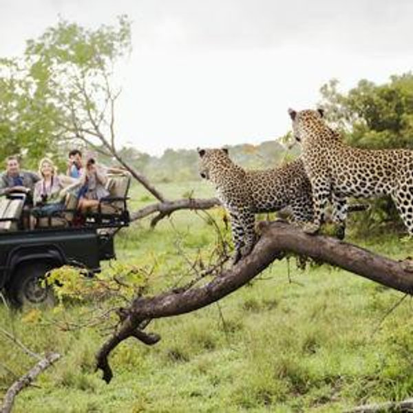 Honeymoon in Africa