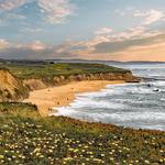Half Moon Bay