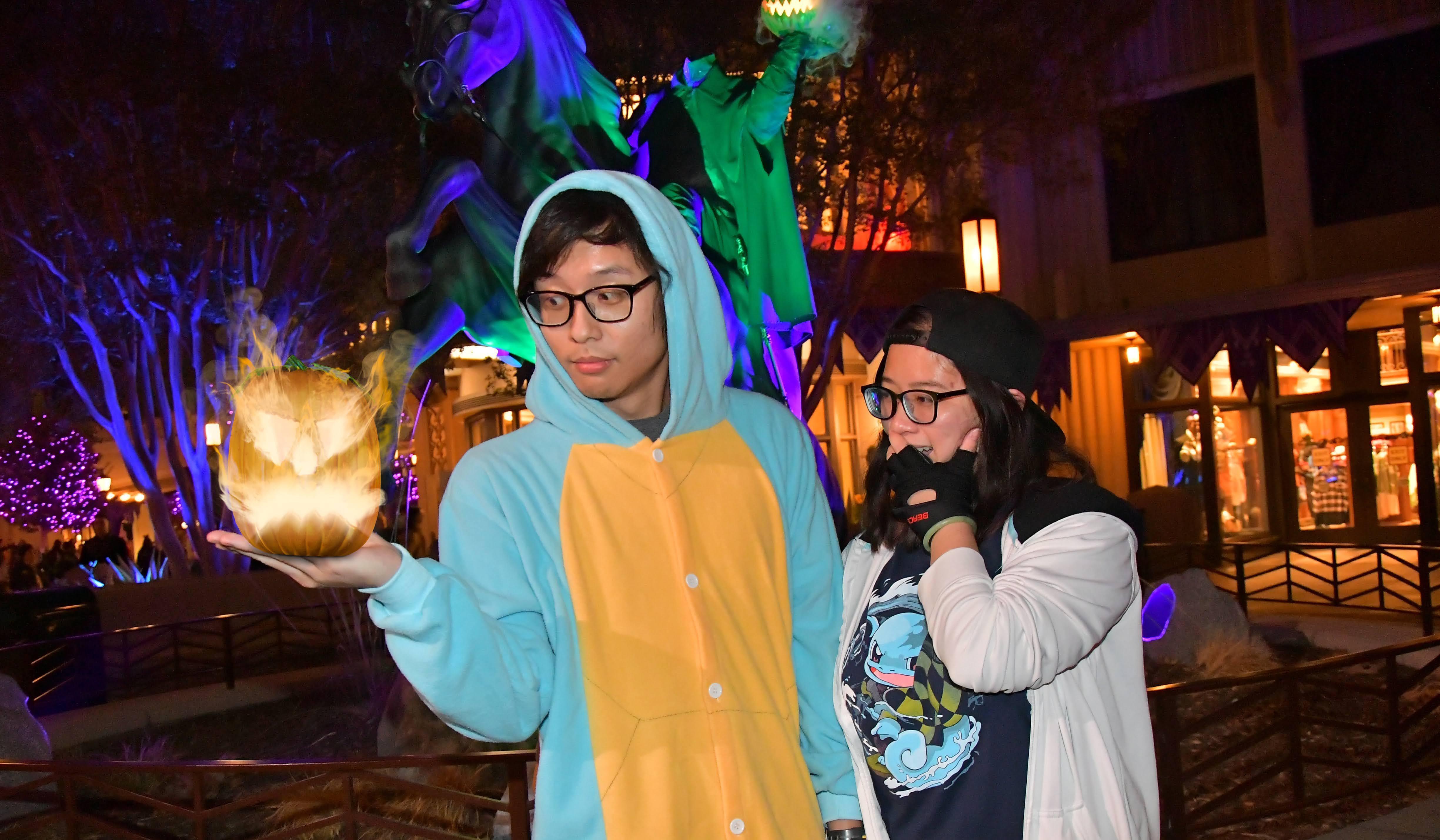 Hero Slideshow Image 3