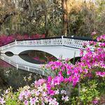 Magnolia Plantation & Gardens
