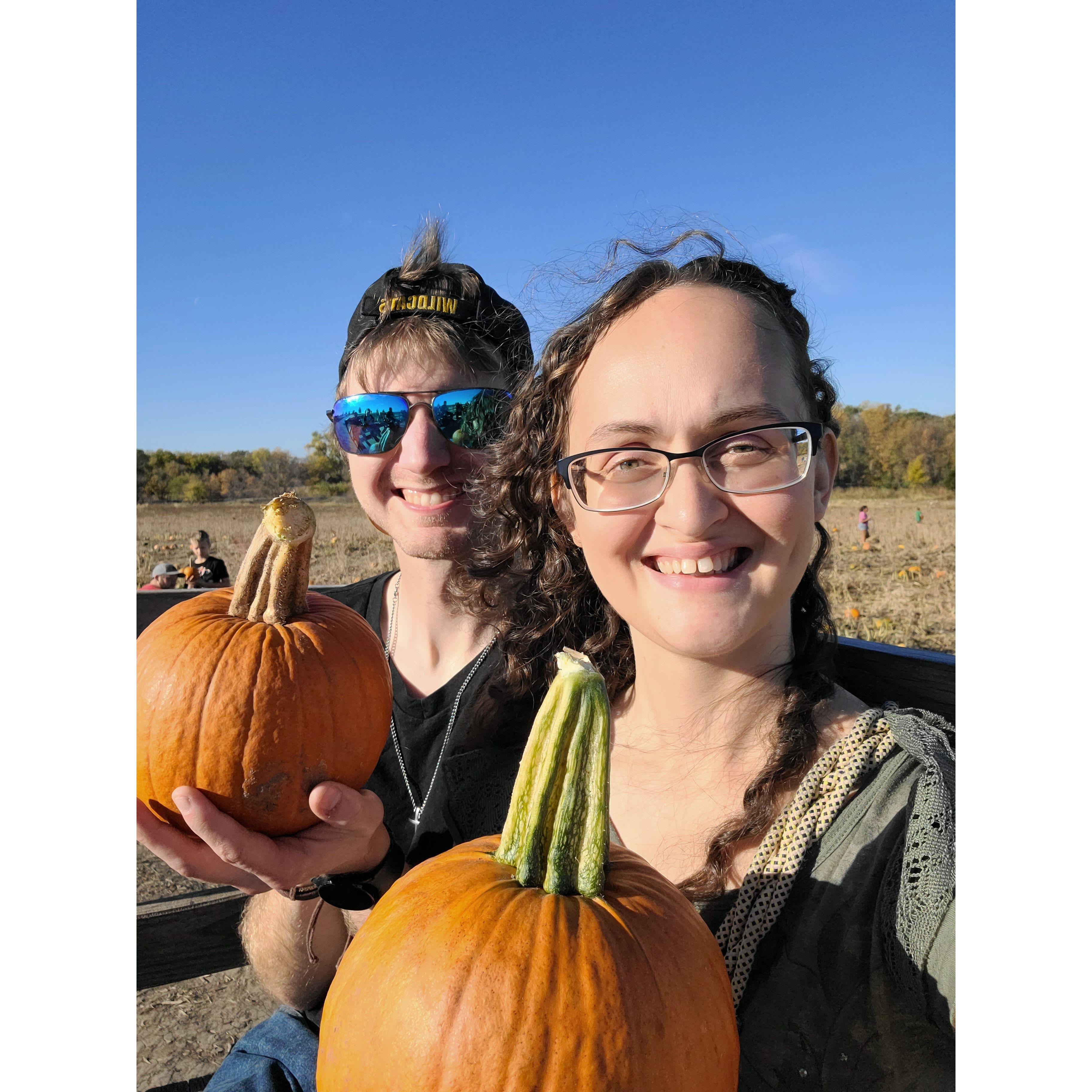 Picking pumpkings!