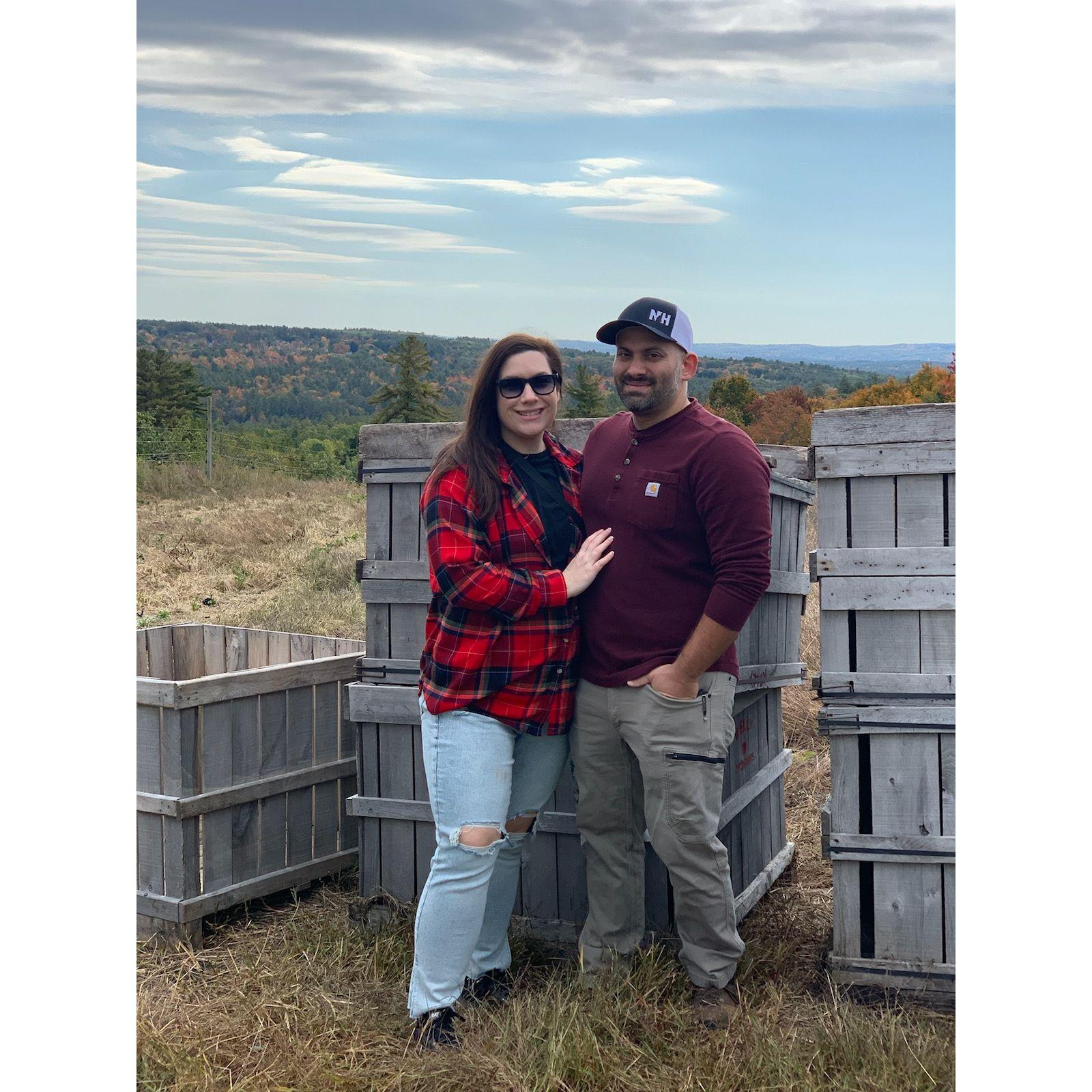 Apple picking - Carter Hill Orchard