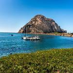 •~•~•Morro Bay•~•~•