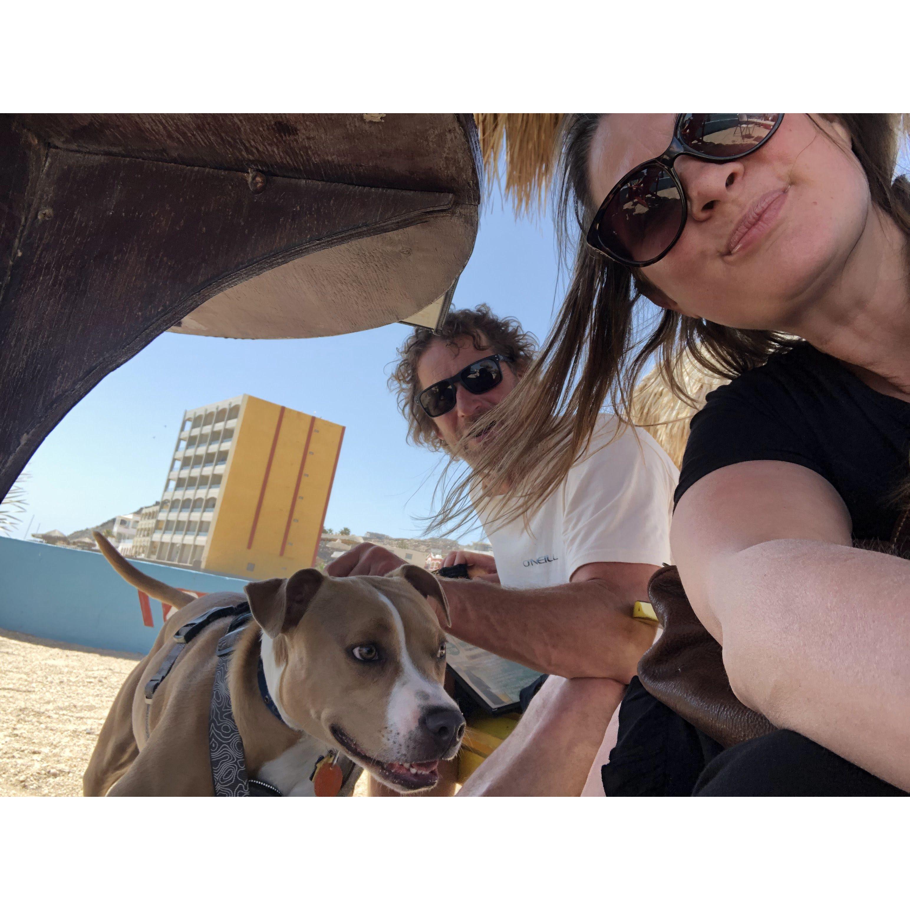 Luna's first day in Mexico!