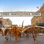 Stockyards Boulevard