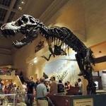 Smithsonian National Museum of Natural History