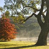 Lake Alexandra Reserve