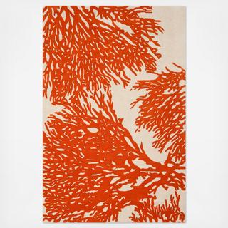 Bella Coral Rug