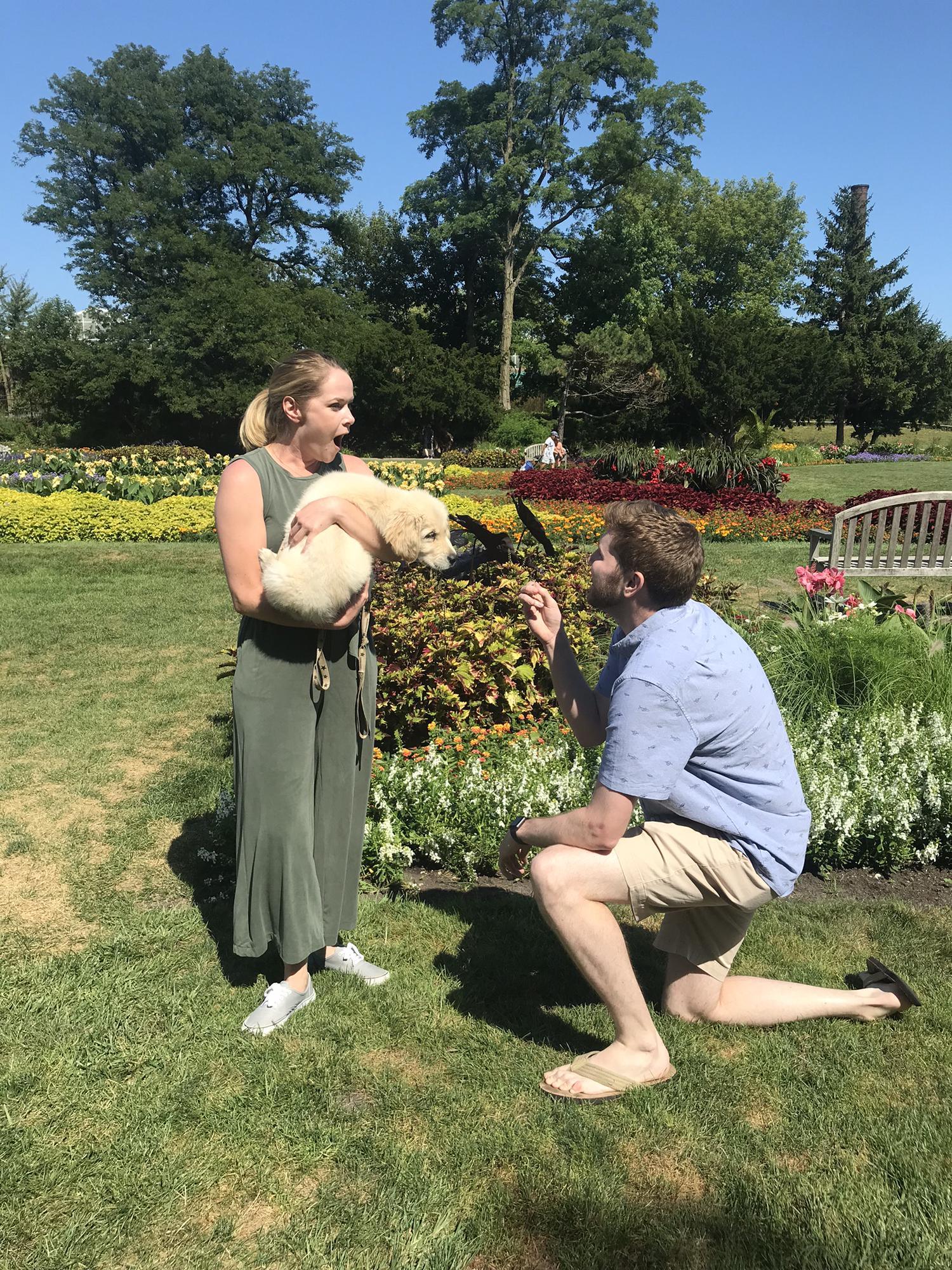 Proposal in Lincoln Park in Chicago