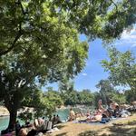 Barton Springs Municipal Pool