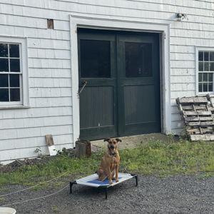 Future Home Fund