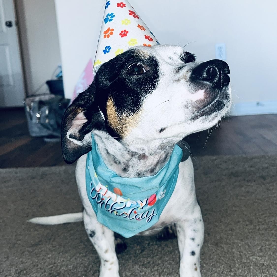Hazel turned 3.