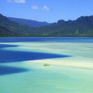 Captain Bob's Kaneohe Sandbar Snorkel