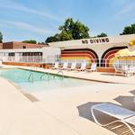 The Dive Motel & Swim Club