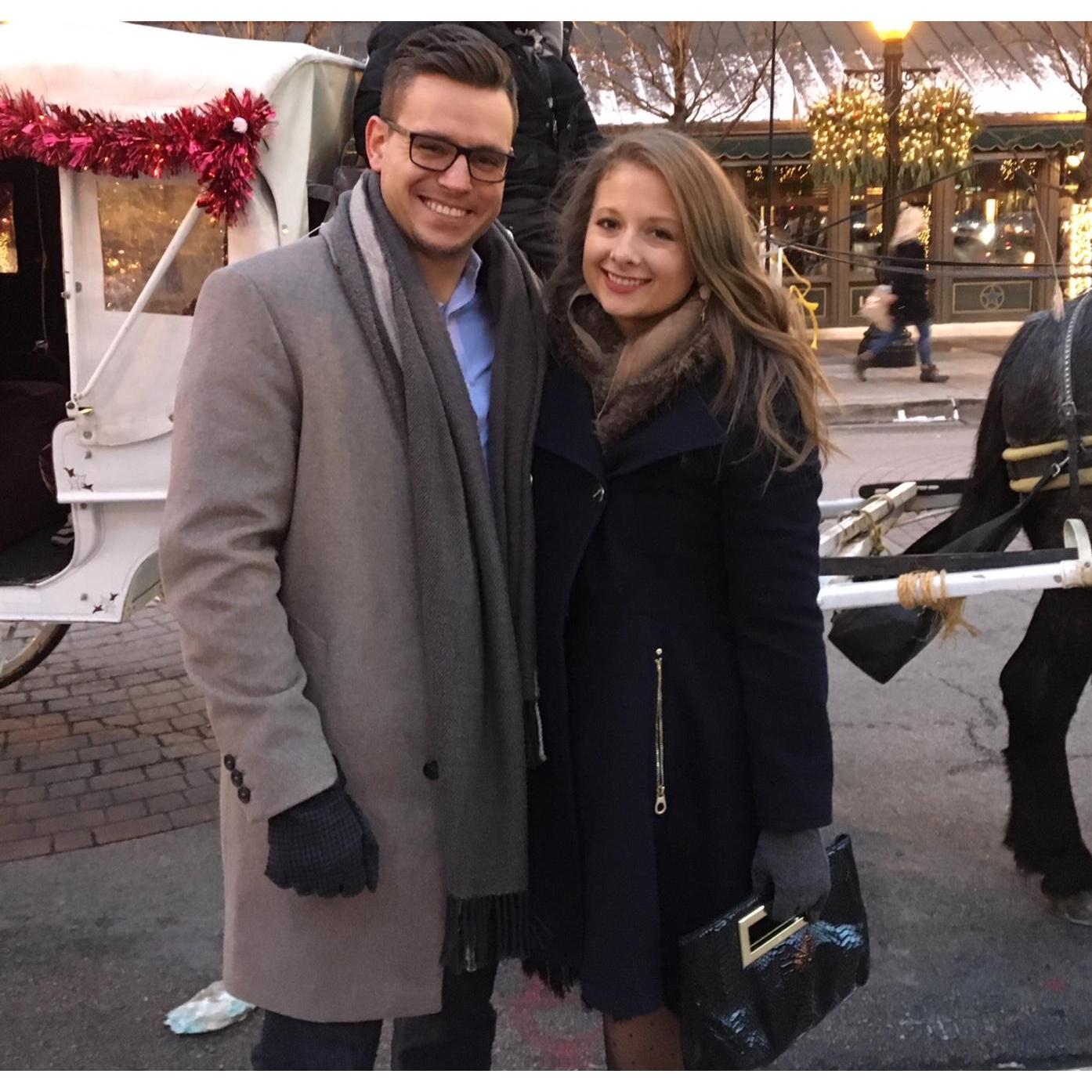 Chicago 2017 - Horse Drawn Carriage Ride (pre-engagement)