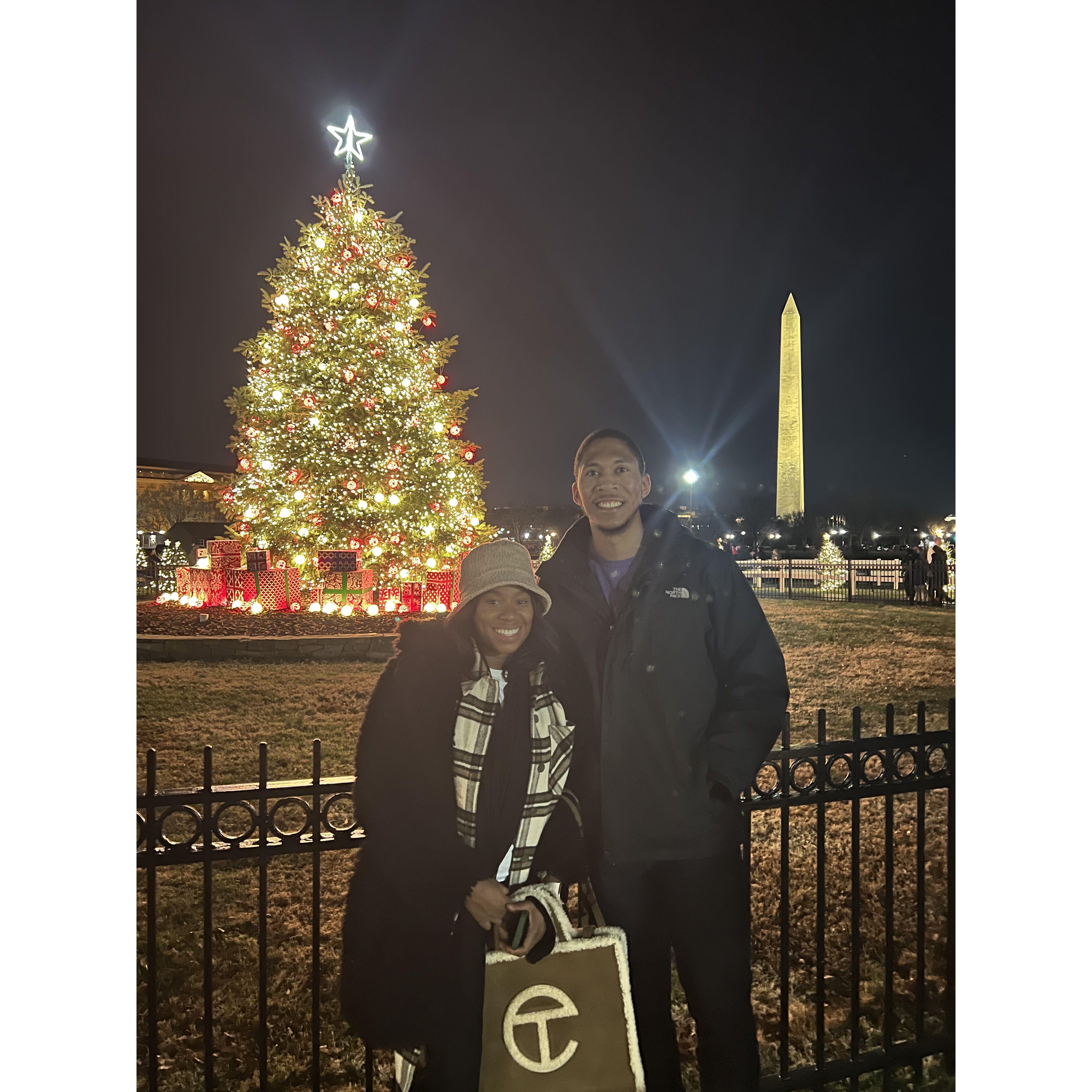 National Christmas Tree