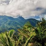 El Yunque National Forest