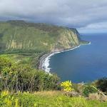 Kohala Forest Reserve