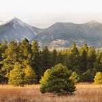 Explore Flagstaff!