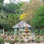 Harry P Leu Gardens