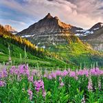 Glacier National Park