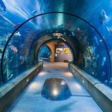 Oregon Coast Aquarium