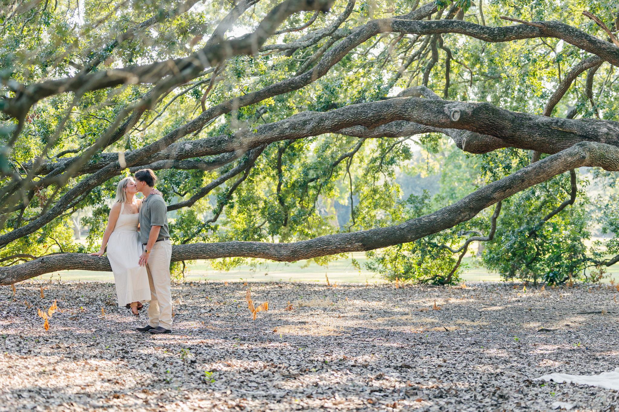 ac25332f-839d-4ffd-85f3-d597b131c8a5